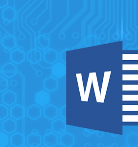 computer-course-word-plovdiv