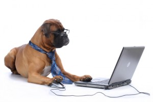 computerdog